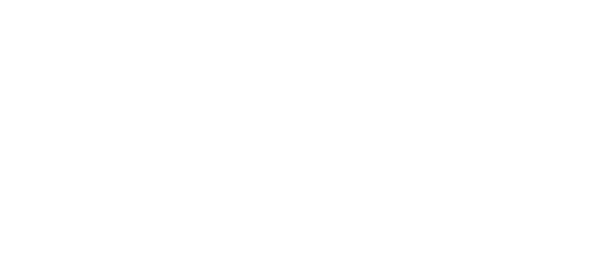 County Wide Bail Bonding, LLC logo